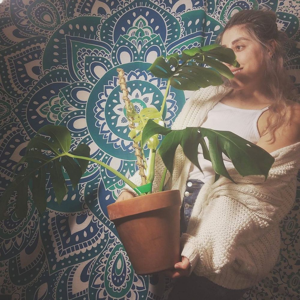 Meet your Posher, Alondra